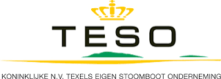 TESO logo
